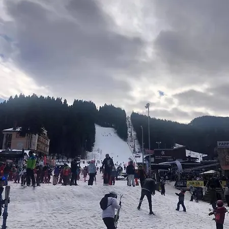 Four Seasons Apartment Borovets